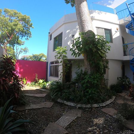 Casa Arbol De Paz Habitacion Doble Chacala  Esterno foto