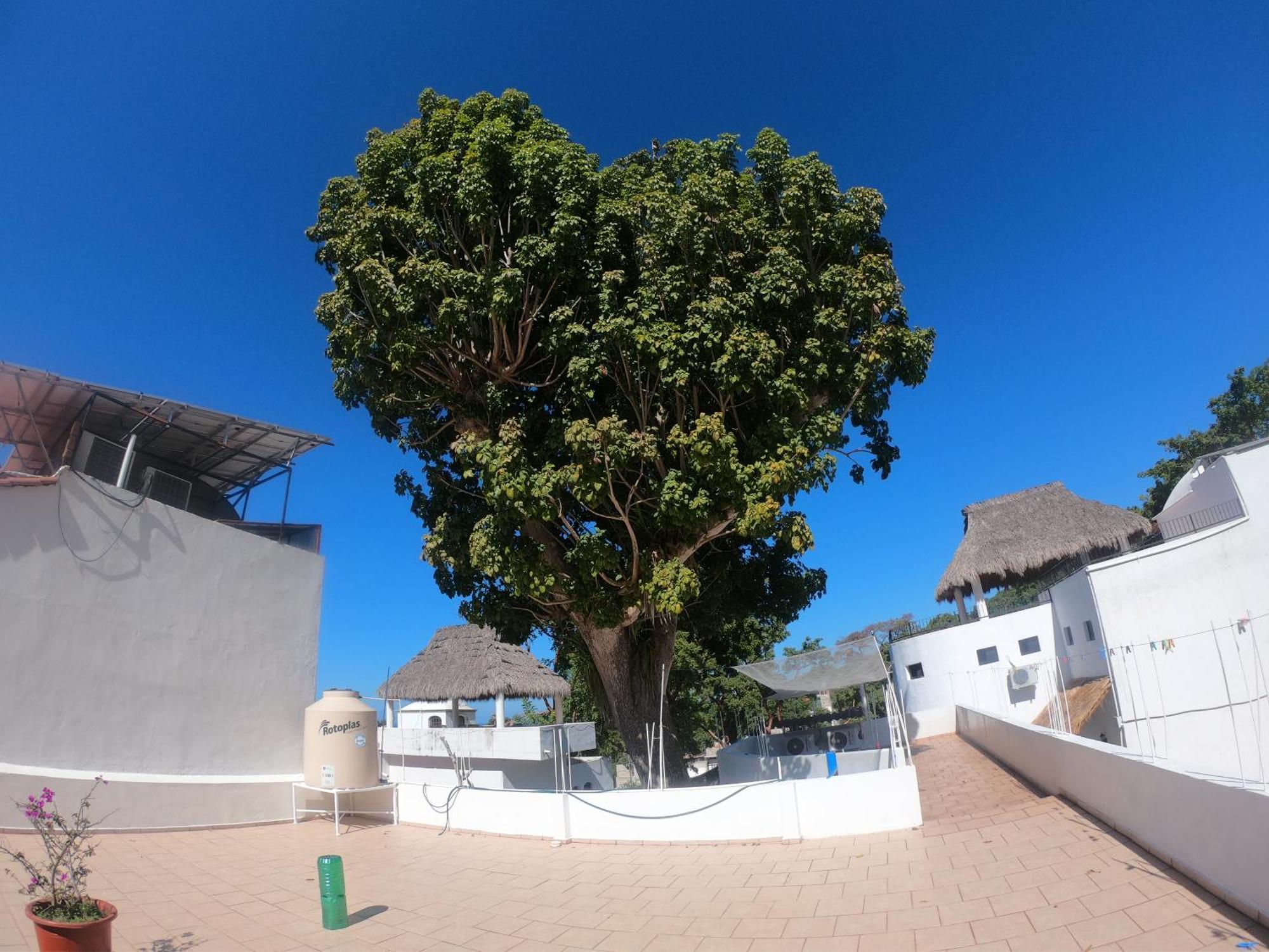 Casa Arbol De Paz Habitacion Doble Chacala  Esterno foto