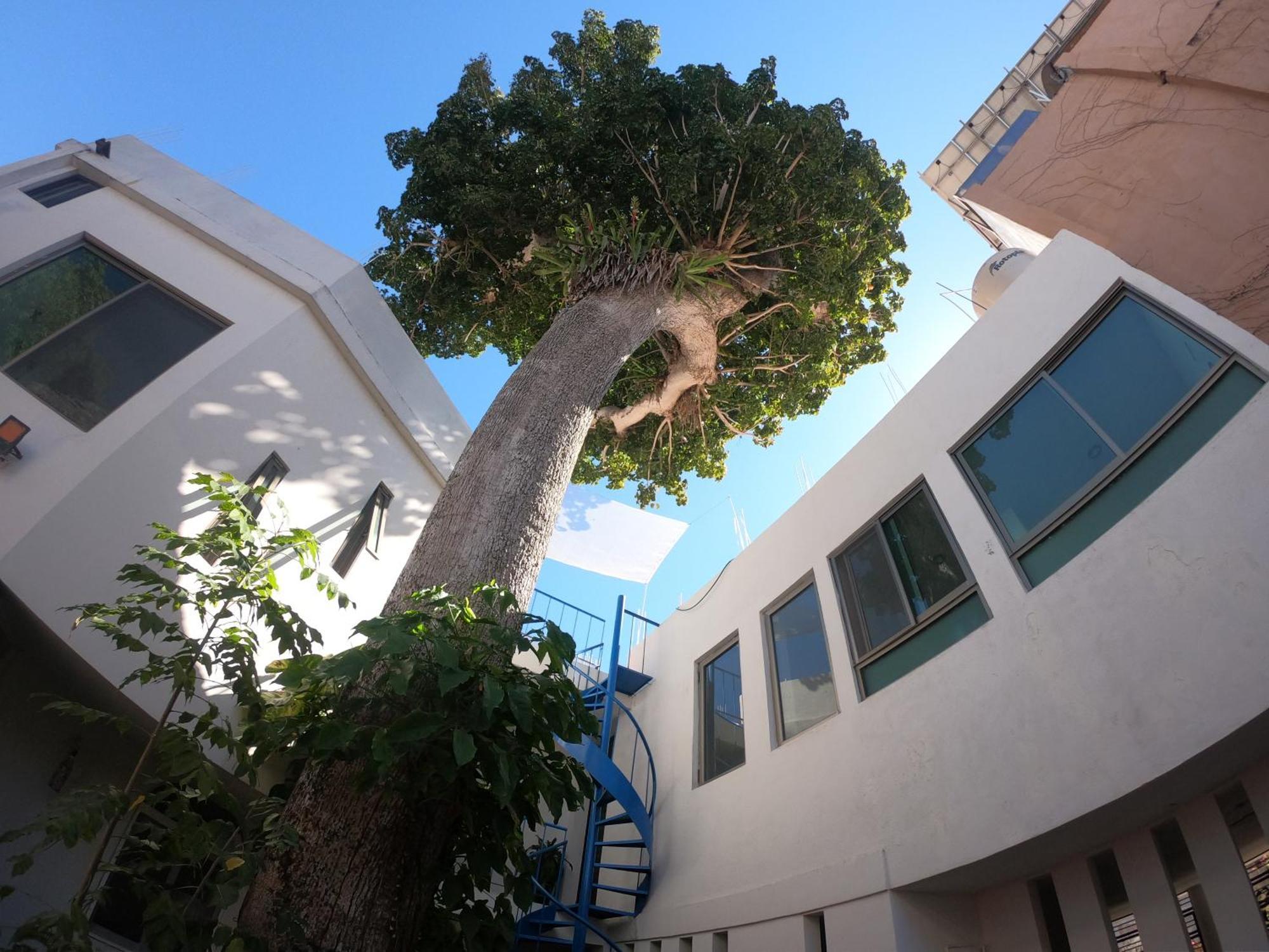 Casa Arbol De Paz Habitacion Doble Chacala  Esterno foto